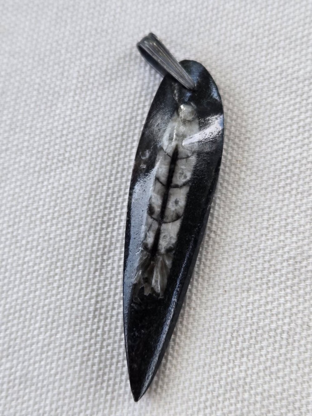 Genuine Orthoceras Fossil Pendant marked 925